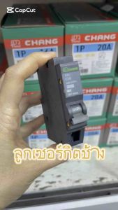 CHANG เซอร์กิตเบรคเกอร์ ตราช้าง 1P-10A 16A-40A 63A (ราคา 1 ชิ้น) - ลูกเซอร์กิต, ลูกย่อยช้าง, ลูกย่อยเซอร์กิต