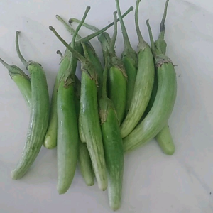 Terong Telunjuk Sayur Terong Segar 250 Gram