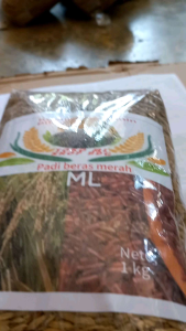 Bibit padi GOGO darat beras merah 1 kg