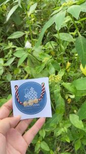 Gelang Tridatu Rambut Sedana asli khas Bali Original