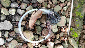 JERAT PANCINGAN BURUNG RUAK RUAK WARNA PUTIH PANJANG 2.5 METER  21 mata