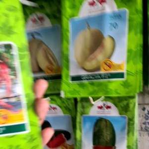 Benih Cabe BAJA F1 - tahan virus tahan kekeringan