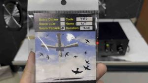 TR2 - NT Swiftlet Pulling Sound 燕屋拉鸟声 (including USB)