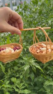 Bột Gạo Lứt Hạt Sen 10 Loại Hạt – Thực Dưỡng – Không Đường tinh luyện – Dùng Hàng Ngày