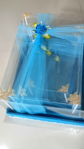 (box size jumbobukan mini)box plus tutup mika silang sepaket isi 4 pcs