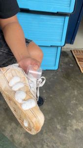 Paket Pembersih Sepatu Tanpa Air PeHa Waterless Cleaner Foam