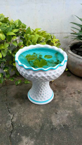 อ่านเน้นดินเผา 14 นิ้ว พร้อมขายกับ อ่างบัว อ่างดินเผาเลี้ยงปลา อ่างดินเผาปลูกบัว สินค้า มีประยุกต์