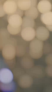 Jersey Persib Bandung Terbaru 2025-2026 Custom Nama & Nomor