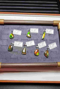 Canada Ammolite Sterling Silver Pendant