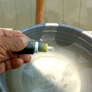 Essen nila media lumut busa