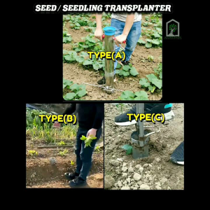 SEEDLINGS TRANSPLANTER (EGGPLANT TOMATO ETC)