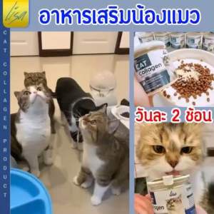 ผงโรยอาหารแมว Lisa Cat Collagen หยุดขนร่วง 3 กระปุก - วิตามินบีรวม เสริมภูมิคุ้มกัน เพิ่มกล้ามเนื้อ