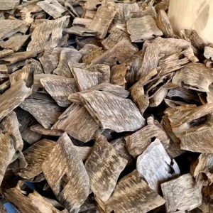 Trầm Miếng (Trầm Ổ) Sạch Hầu Loại Đặc Biệt Xông Tài Lộc Thờ Cúng Thưởng Trầm Xưởng Trầm Âu Lạc