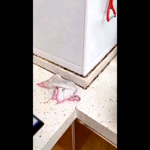 Penghilang Jamur Kerak Celah Keramik Toilet Kamar Mandi Dapur Wastafel