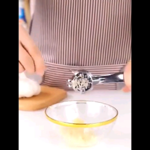 Alat Penghancur  Bawang Putih Garlic Press