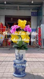 Chậu Hoa Lan Hồ Điệp 5 Nhánh Cao Su nhân tạo trang trí nhà cửa