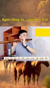 Sáo Mèo Cải Tiến 9 Lỗ Tone C Sáo Mèo Trúc Hun Khói