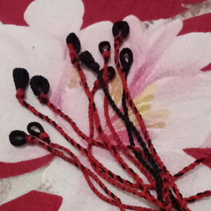 Tali burung prenja kutilang