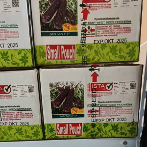 200 Butir Benih Jagung Pulut Ungu JANTAN F1 Exp 2026