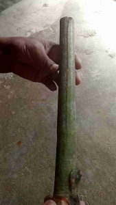 Pohon Sulangkar & Kayu Girang: Aksesoris Mancing Tradisional