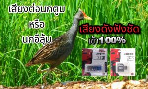 เสียงต่อนกตูมหรือนกอีลูมเปิดวน-คืนสำหรับการใช้งานทั้งวัน (เสียง 100%)