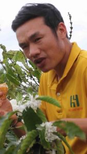 [Trợ giá] 1 lít mật ong hoa cafe nguyên chất khai thác vụ mới từ nhà Mật Ong Họ Hồ mật ong nguyên chất đặc sản tây nguyên