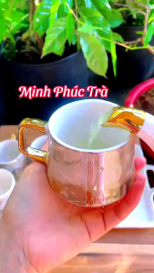 (Sản Phẩm Mới) Trà Ngon Thái Nguyên _1kg Trà 1-Đóng túi hút chân không