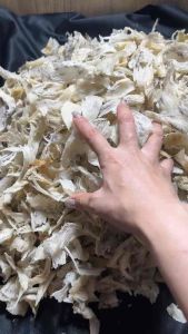 HỘP 50-100gram CHÂN YẾN THÔ CỤC TO SHOP TẶNG KÈM ĐỒ CHƯNG VÀ NHÍP VÀ ĐỒ CHƯNG