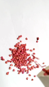 Benih cabe rawit setan isi 70 butir Bibit cabe rawit setan super