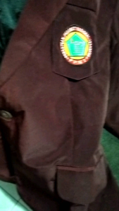 JAS PPNI / BLEZER PPNI