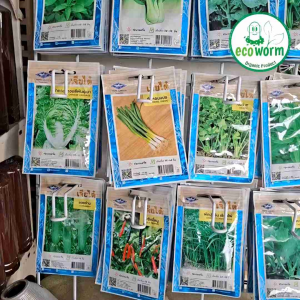 เมล็ดพันธ์ผัก ผักผล ผักผล ผักสวนครัว ผักชี ต้นหอม พริกขี้หนูสวน