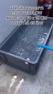 ลังพลาสติกแบบยาวทึบสีเทา ท่อสีฟ้า ระบบover flow สำหรับเลี้ยงปลา อ่างเลี้ยงปลา กะบะเลี้ยงปลา อ่างปลาบอลลูน อ่างปลาเมกา