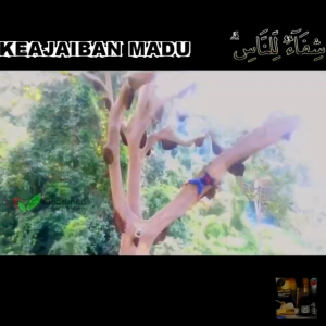 Madu Tualang Asli Original- Madu tualang Quad (packing 2kg/Pack jimat)