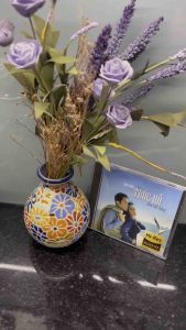 Đĩa CD Tình khúc Trúc Hồ - Như vạt nắng - Nhạc trẻ trữ tình - Đĩa lòng Trắng