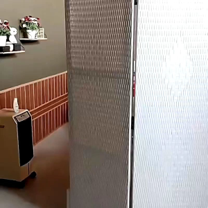 Sketsel Pembatas Ruangan Rotan Sintetis Putih Pintu 5