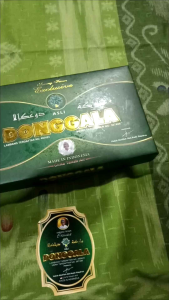 SARUNG DONGGALA PUTRA DONGGALA KATUN A1 3D PRINT NANAS DAN RAYON SONGKET DOBBY TERBARU 2024