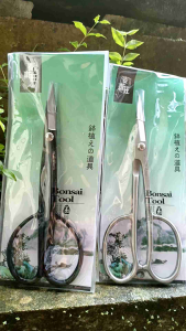 Gunting Bonsai MSTWA 21CM