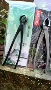 Paket peralatan Bonsai MSW 21cm Murah