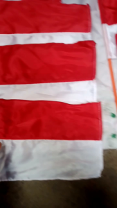 bendera tangan merah putih ( isi 10 pcs )