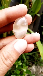 Batu akik mustika awan putih kayangan