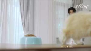 1 โหล/ครึ่งโหล Pramy พรามี่ อาหารแมวเกรดพรีเมียม มีให้เลือก (6 ซอง ครึ่งโหล 12 ซอง 1 โหล) ทำจากปลาเนื้อขาว 70g