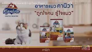 1 โหล/ครึ่งโหล Kaniva อาหารเปียกคานิว่า เหมาะสำหรับลูกแมวและแมวโต ขนาด 70 กรัม