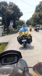 Cuci Gudang Tas Obrok Motor Bahan Coduray & Kalep