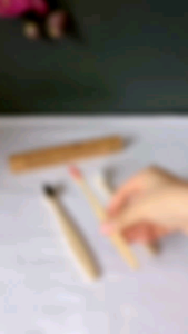 Eco Friendly Bio Degradable Bamboo Toothbrush / Sikat Gigi Ramah Lingkungan Toothbrush Sikat Gigi
