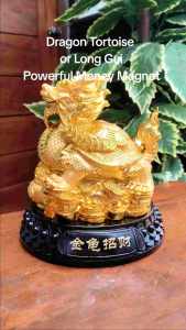 Golden Dragon Tortoise Good For Health Money Magnet Figurine