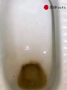 Japan Technology Toilet Bowl Cleaning Gel 99.9% kill Germs pembersih Kuman Mangkuk Tandas Bersih