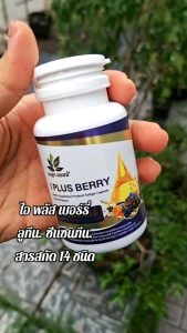 ( 1 กระปุก ) เบญจออยล์ ไอ พลัส เบอร์รี่ BENJA OIL I Plus Berry อาหารเสริมดูแลสายตา
