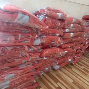Seragam Olahraga Sekolah Paud Tk dan SD Baju Olahraga Anak kaos Olahraga Bahan Polyster Celana Trening Lotto
