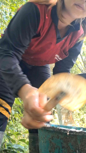 ไม้กวาดยางพาราตราตาทา 2ชิ้น