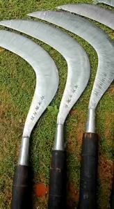 Terbaru... Arit rumput asli madura sudah di asah tinggal pakai